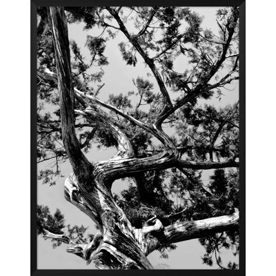 The Blues 2 Print by Mat Sanders