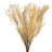 26'' Plant