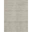 Area Rug in Beige