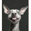 Tongue Out, Joy Out 1 - Unframed-659297137