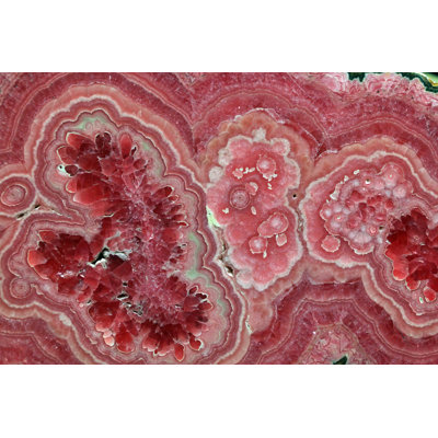 Rhodochrosite Close Up by BreakingTheWalls - Wrapped Canvas Print