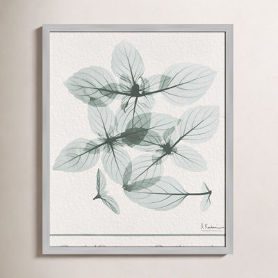 Jeanette "Basil Ocimum Basilicum" Painting