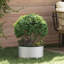 Planter Ring Garden Modern Round Decor Outdoor Steel Frame Enhancement-726487653