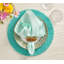 Classic Napkin-383076132