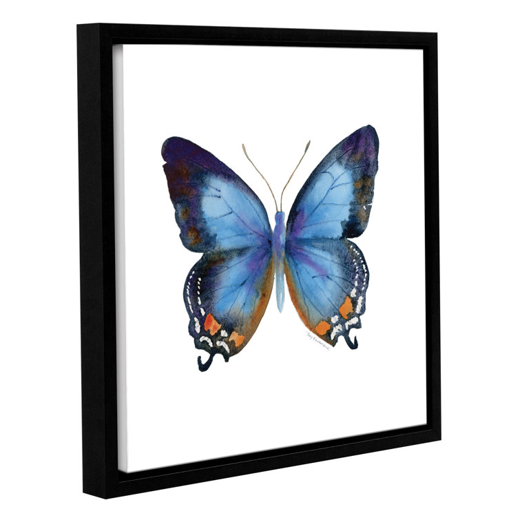 Imperial Blue by Amy Kirkpatrick - Print on Canvas
