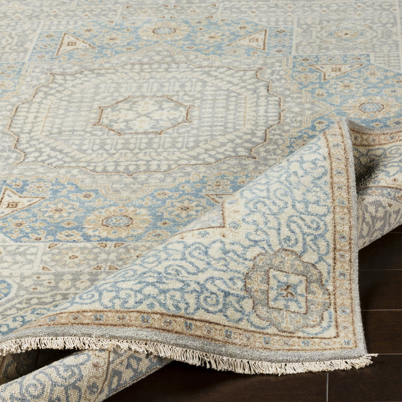 Didimo Wool Oriental Area Rug, Rectangle 2' x 3'