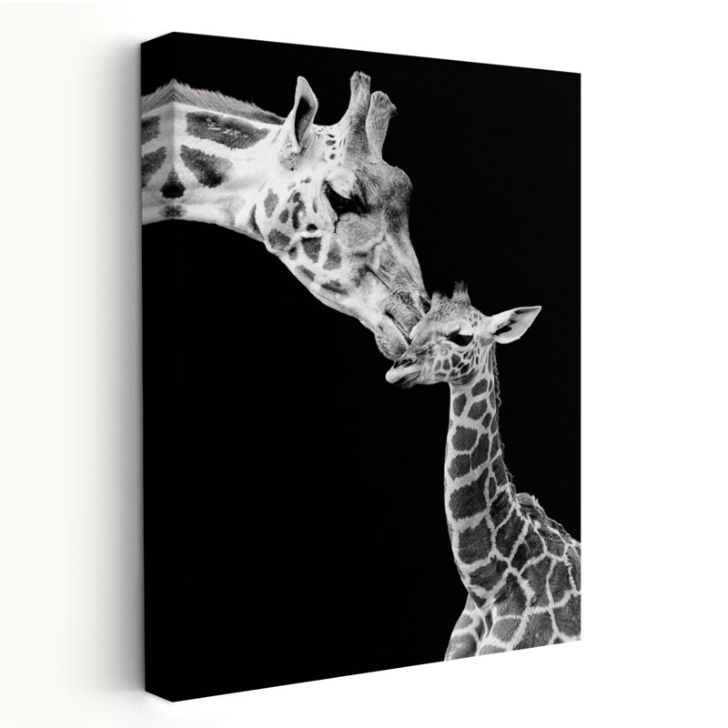 Premier amour - girafe - photographie animaux, girafes, art animalier, H 60 po x l 40 po