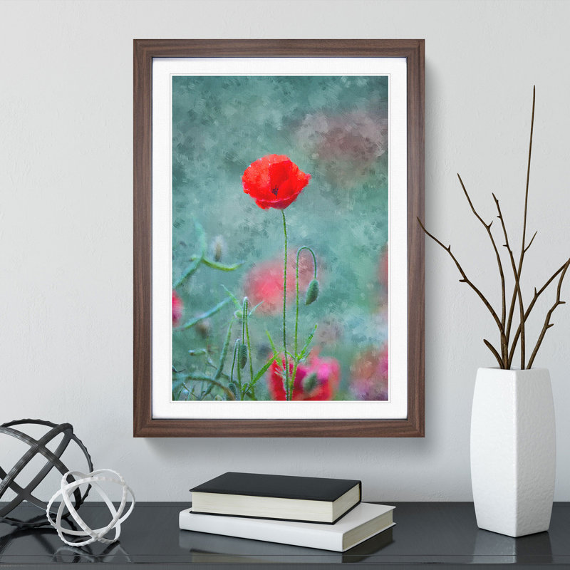 A Lone Poppy Flower - Picture Frame Graphic Art, 36cm H x 27cm W x 2cm D, Walnut Framed