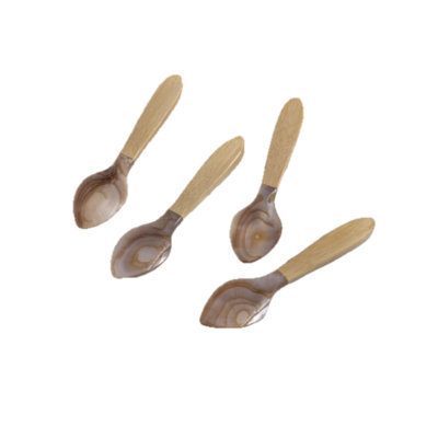 Serin Shell Large Spoons, Set of 4