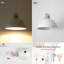 Joylin 11.81" Single Pendant-19883679