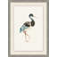 Watercolor Bird 1 Framed Watercolour Painting Print