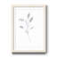 " FLORAL SKETCH II "-323769394-323769402