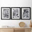«Black and White Mix I», ensemble de 3 cadres photo-1033157669-1033157691