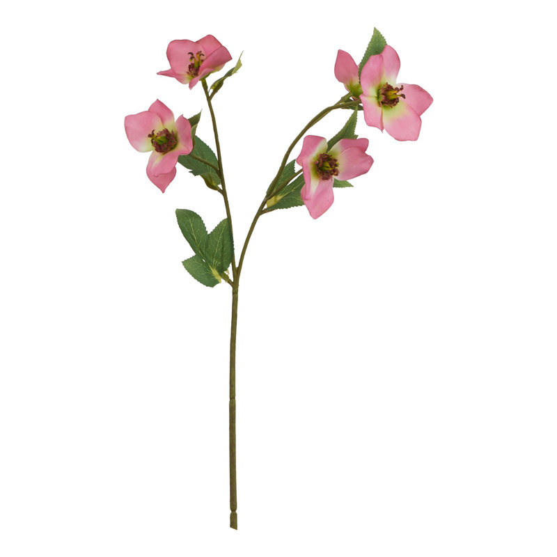 Anastasija Arrangement, 47 cm H x 15 cm W x 15 cm D, Pink