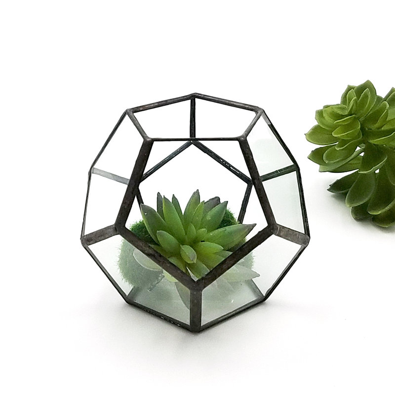 Terrarium cuivré de Norvège, Noir, H 5 po x l 6 po x P 6 po