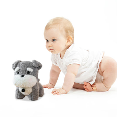 Jouet mignon pour chien Dang