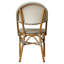 Nergizli Wicker Premium All-Weather Wicker Outdoor Dining Side Chair-22810469