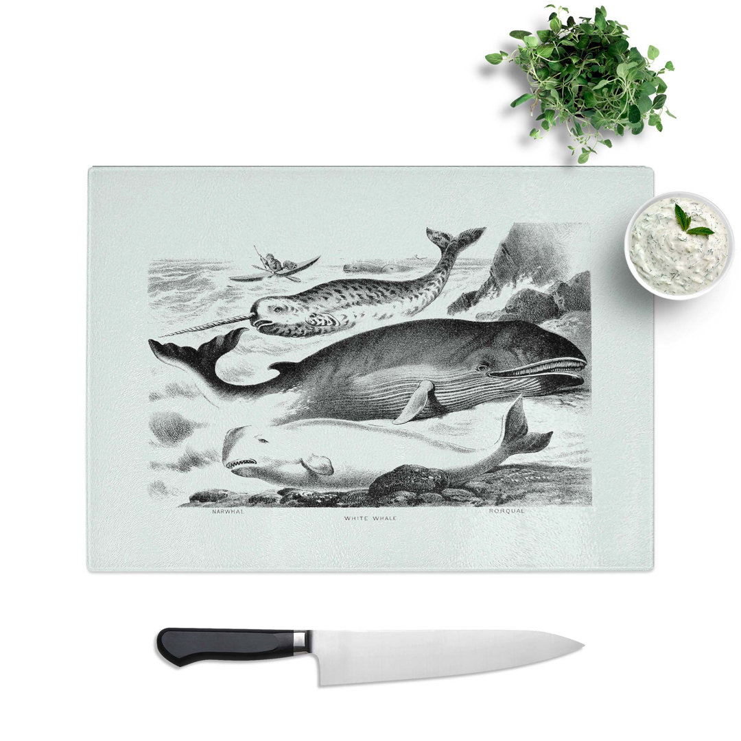 Tempered Glass Assortment of Whales Chopping Board
