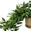 Mayna Faux Ivy Plant in Ceramic Pot