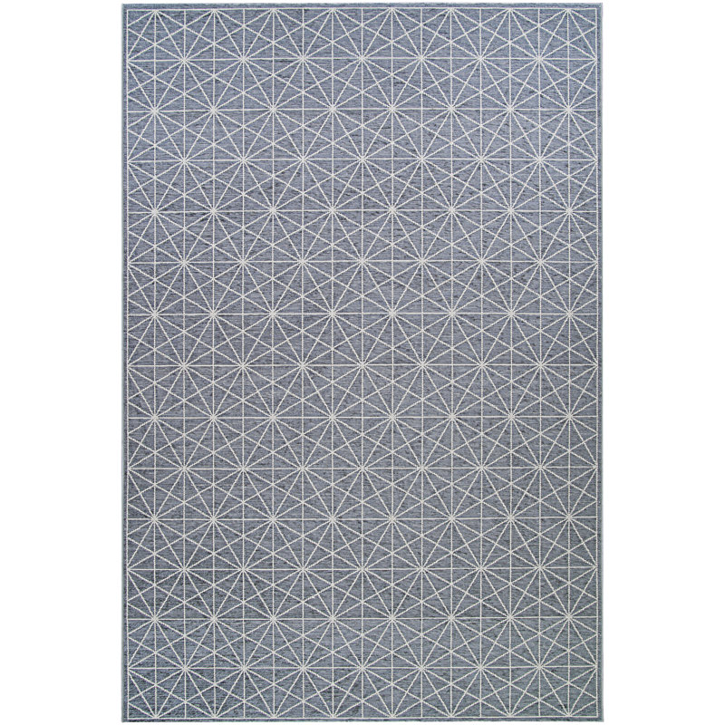 Tapis intérieur/extérieur gris anthracite namur Lundin, Rectangle 2 pi 2 po x 4 pi 3 po