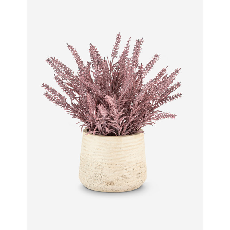 Herbe de blé mauve Artful Interiors