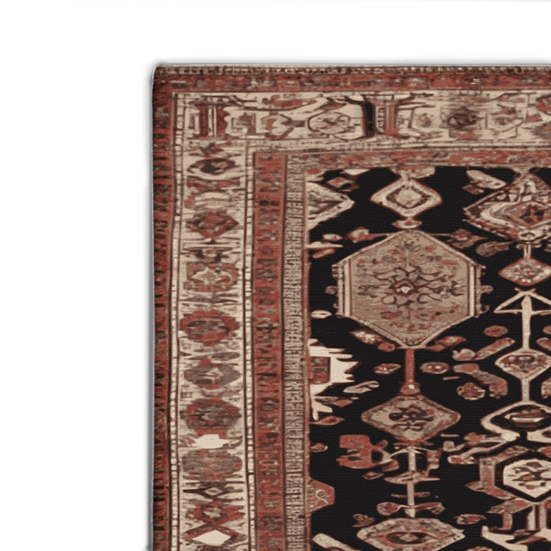 Tapis turc intérieur et extérieur brun, Rectangle 4pi x 6 pi