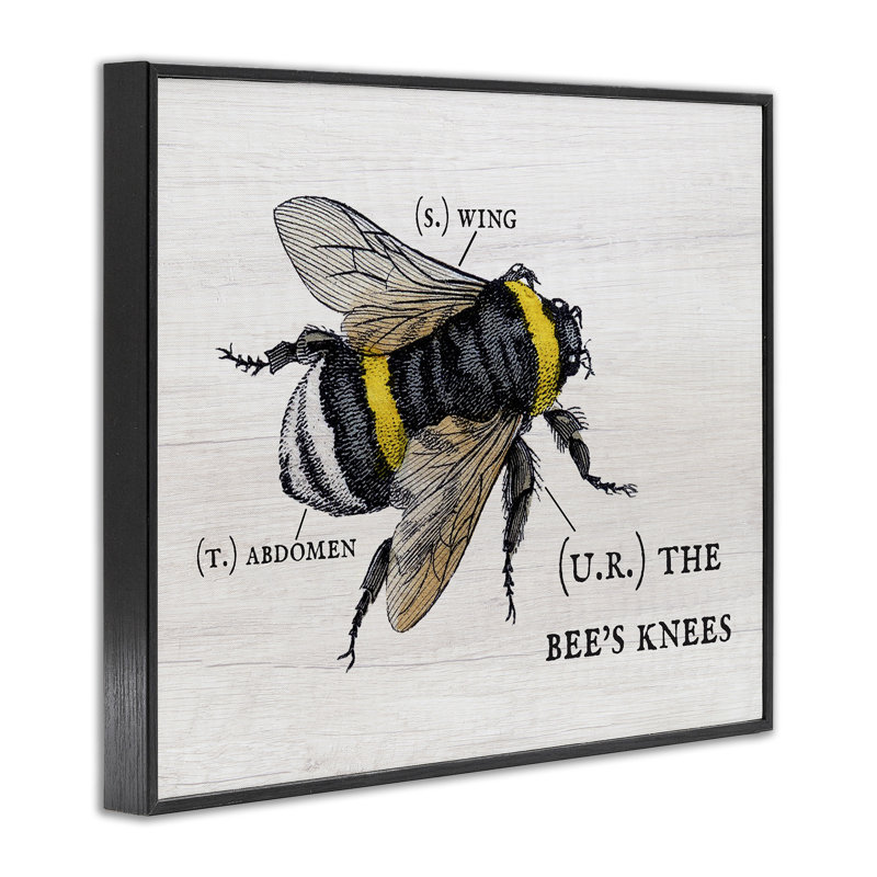 «Anatomy of Honey Bee Pun» par Daphne Polselli, reproduction d'art graphique, H 30 po x l 24 po, Giclée encadrée noir minuit