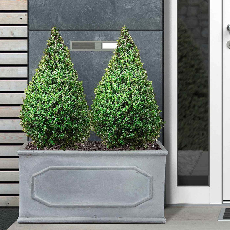 Chelsea Planter Box, 30cm H x 60cm W x 30cm D