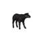 Texelaar Sheep, Lamb, Gel Coat Black