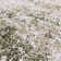 Delanor Abstract Ivory/Green/Silver Area Rug