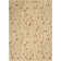 Aratrika Floral Indoor Rug
