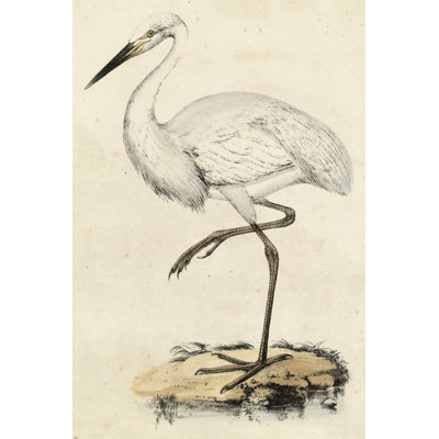 Antique Heron III - Painting Print