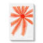 Starfish by Albert I - Wrapped Canvas-55318878