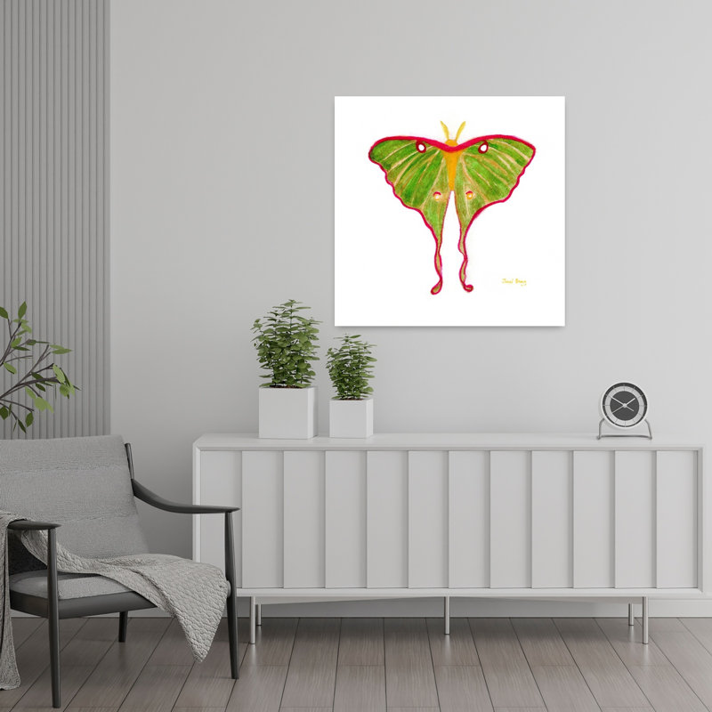 Art contemporain Contemporary Moth, H 24 po x l 24 po