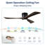 Ventilateur de plafond à DEL 52 po avec lumières-36603086-36603085-36603063