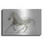«Stallion II Horizontal» par James Wiens