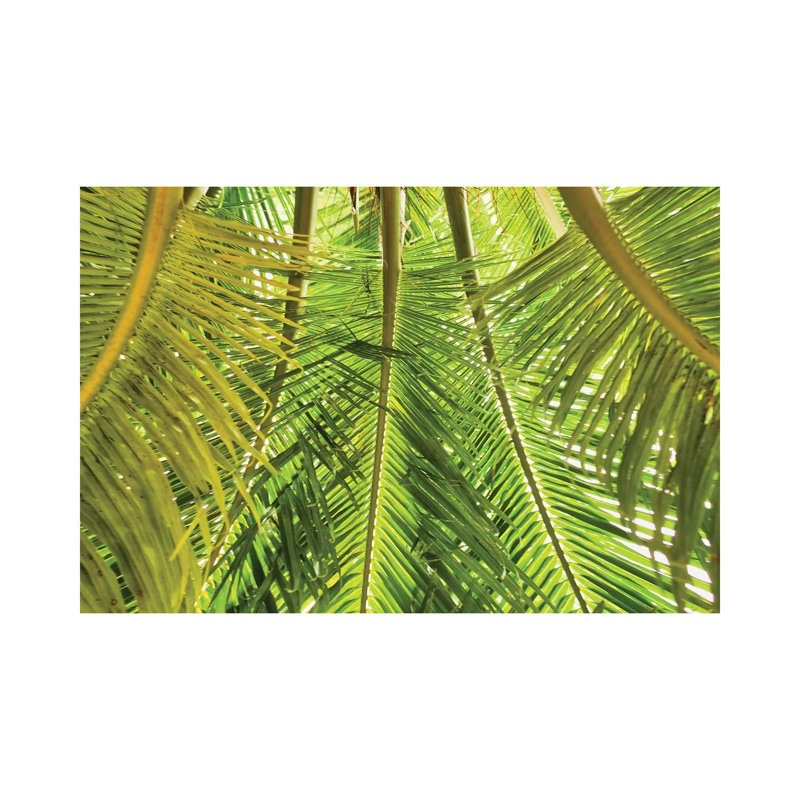 Green Palm Fronds 1 Piece Wall Art on Canvas, 20.32cm H x 30.48cm W x 1.91cm D, Wrapped Canvas