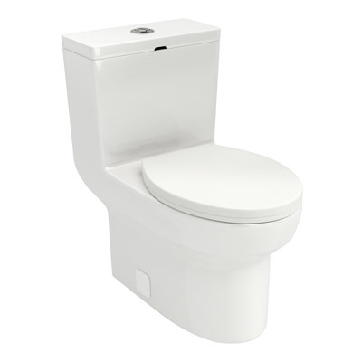 One Piece Floor Standing Toilet Elongated Dual-Flush Siphon Jet Toilet with 1.1/1.6 GPF