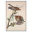 «Watchful pair», reproduction d'art sur toile par Art Remedy-118170818-118170820