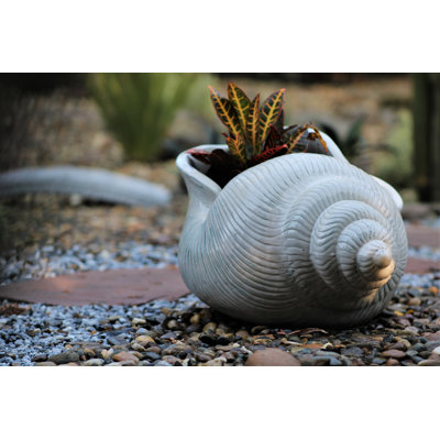 Grande jardinière à coquillage PLANTatorEM (blanc) - Céramique de cuisson à la main