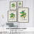 Lime&CeruleanParrotsII Framed Print - Solid Wood-470211400