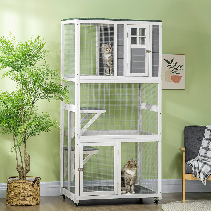 Maison d'extérieur pour chat avec plusieurs caractéristiques pour le confort et le divertissement félins