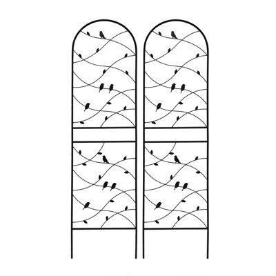 Ensemble de 2 treillis de jardin en métal 71 po x 19,7 po antirouille pour plantes grimpantes