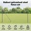 Border Fencing-220455465-220455469
