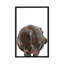 Animals Framed Art-49839947-49839941