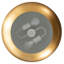 Sadie Pendant - Gold