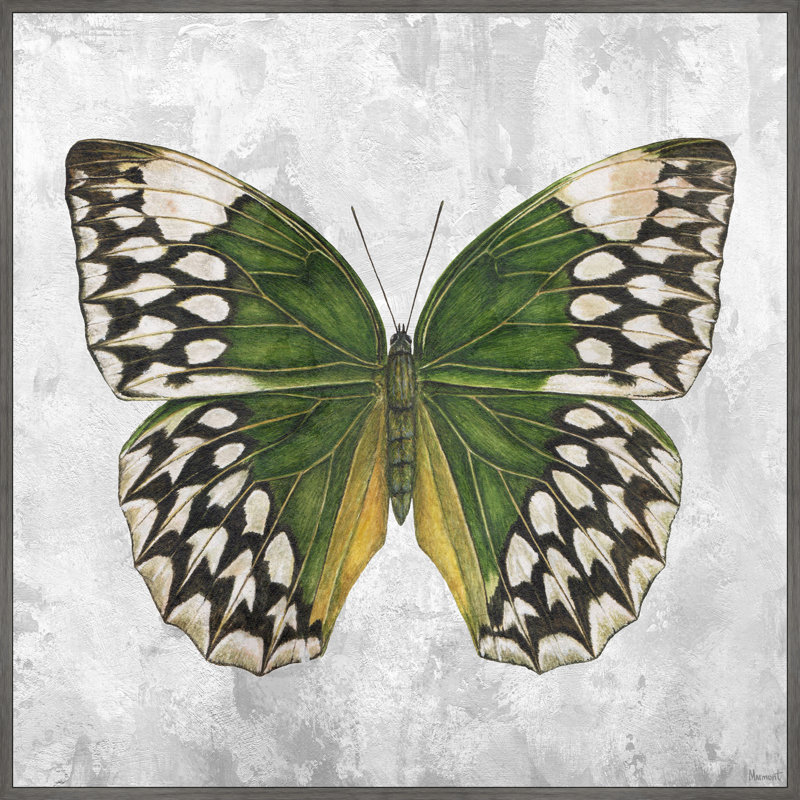" Nature's Angel " by Marmont Hill, 12" H x 12" W x 1.5" D