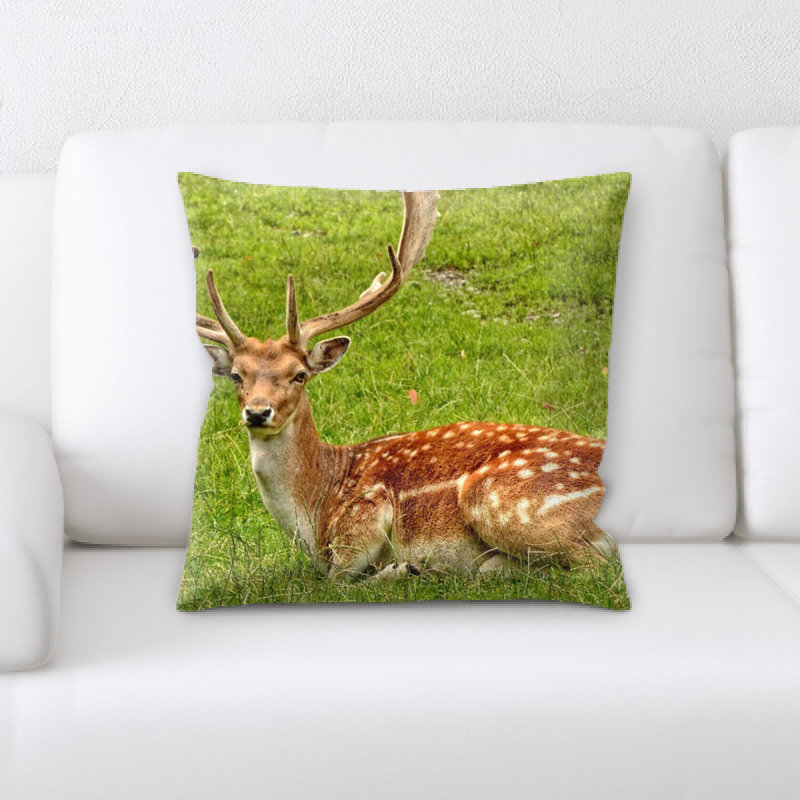 Coussin antler