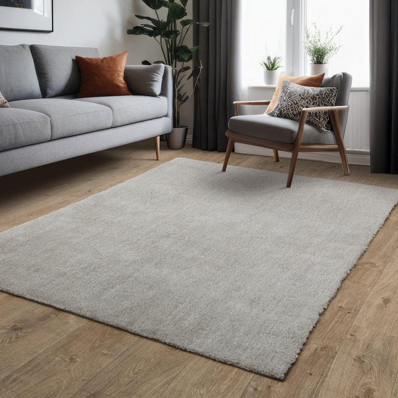 Aikin Solid Colour Shag Area Rug, Rectangle 120 x 170cm
