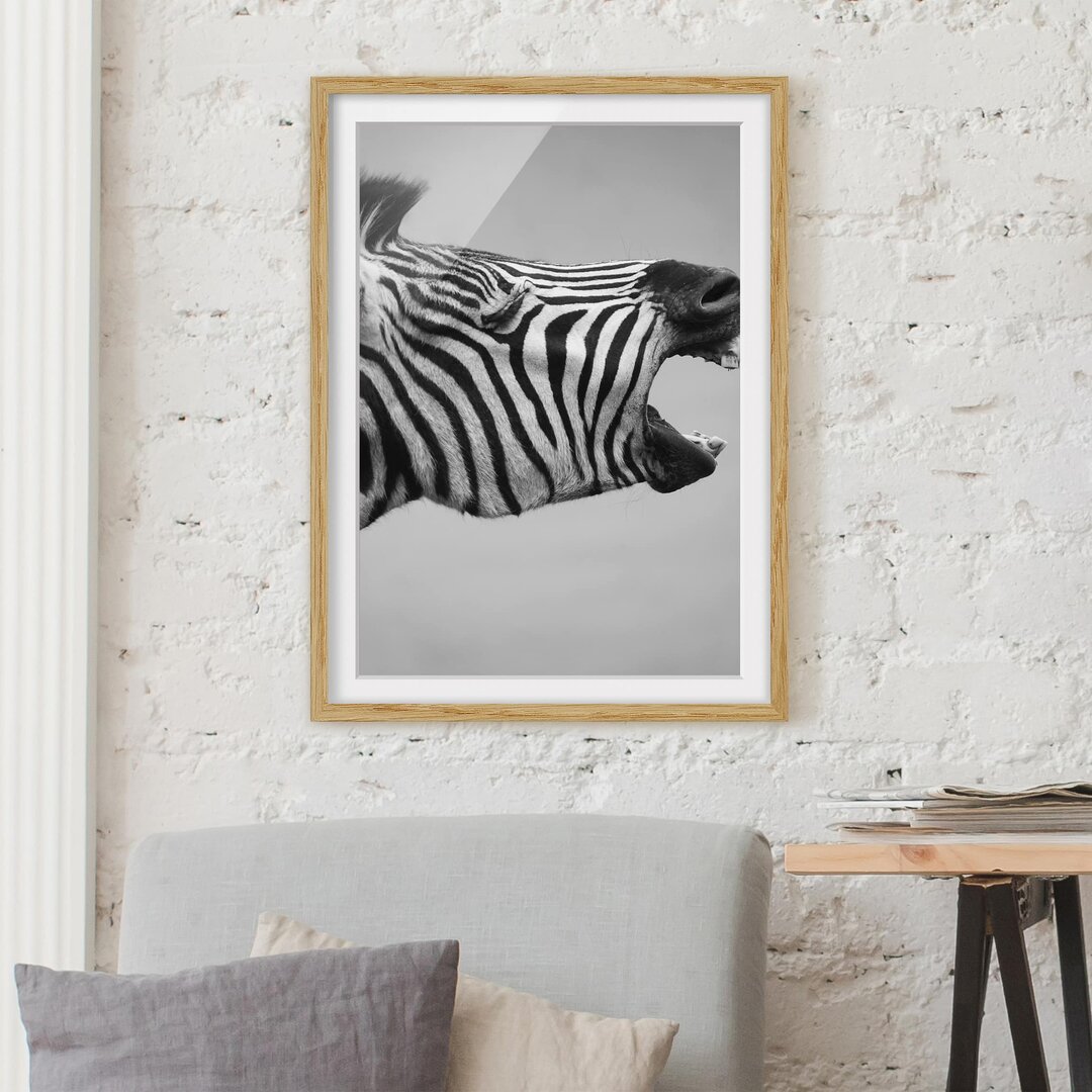 Fotodruck Roaring Zebra II